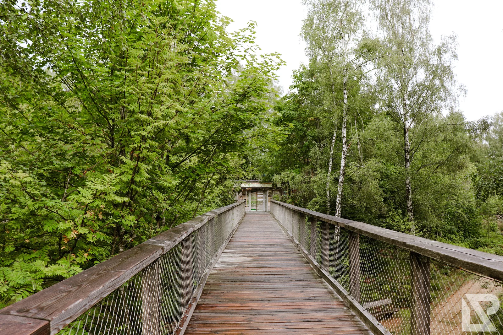 Waldwipfelweg Neuschönau – Foto 85