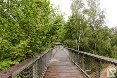 Waldwipfelweg Neuschönau — 85