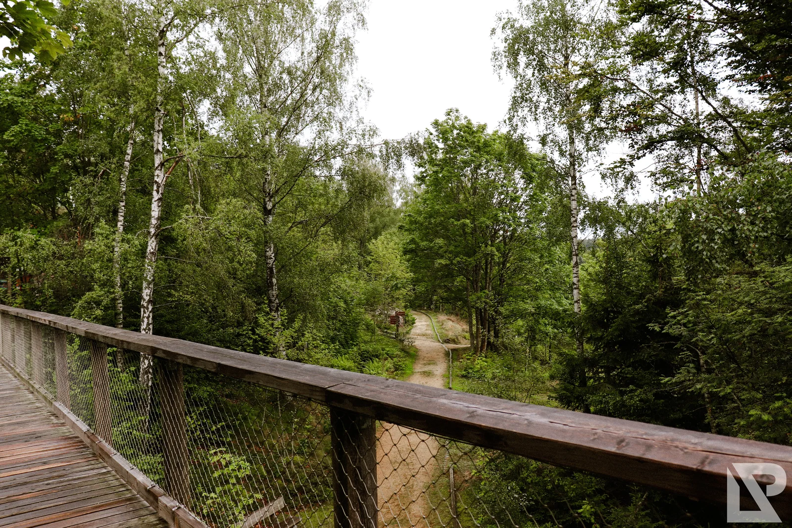 Waldwipfelweg Neuschönau – Foto 86