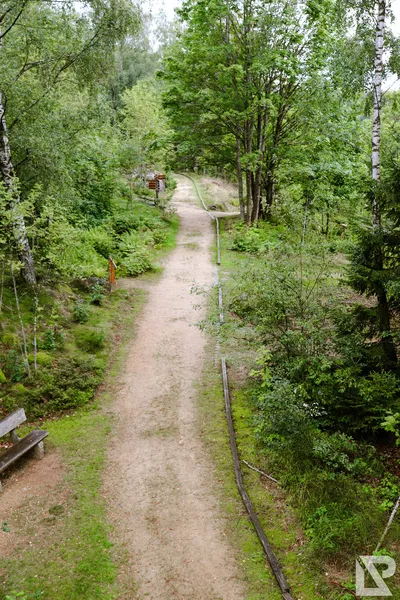 Waldwipfelweg Neuschönau — 87