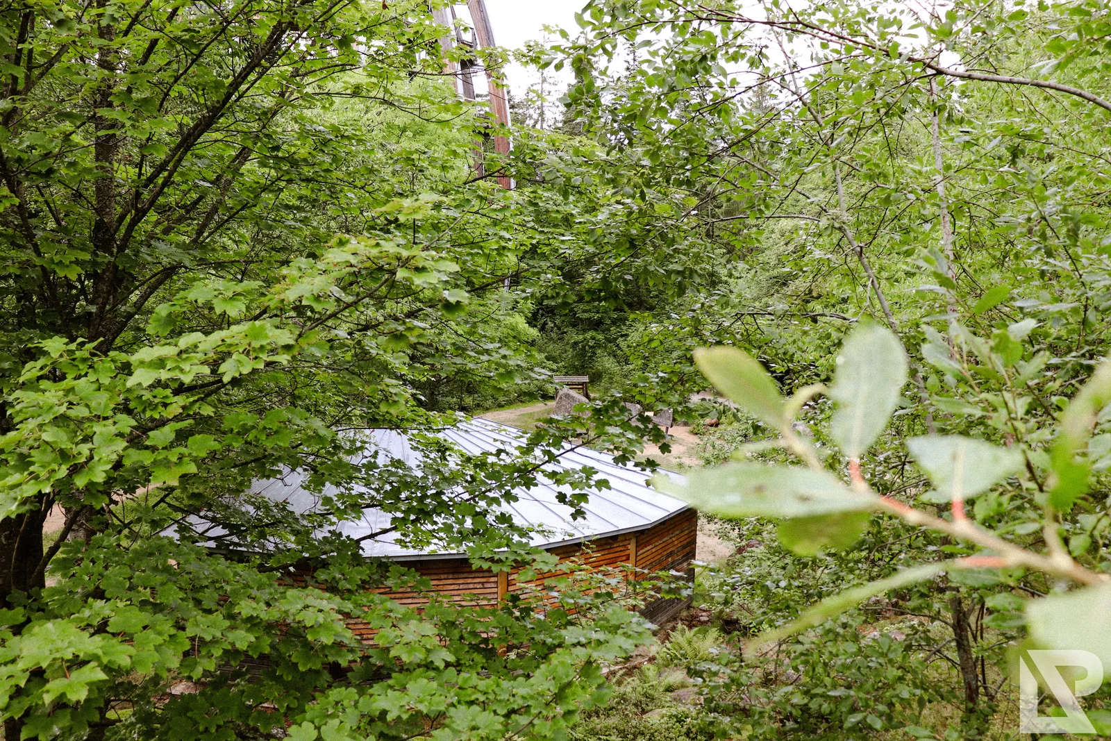 Waldwipfelweg Neuschönau – Foto 88