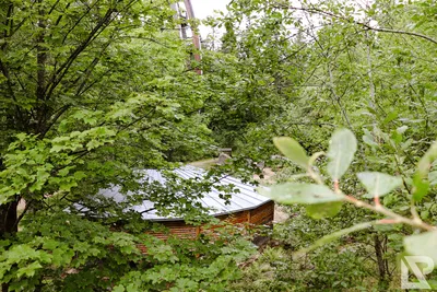 Waldwipfelweg Neuschönau — 88