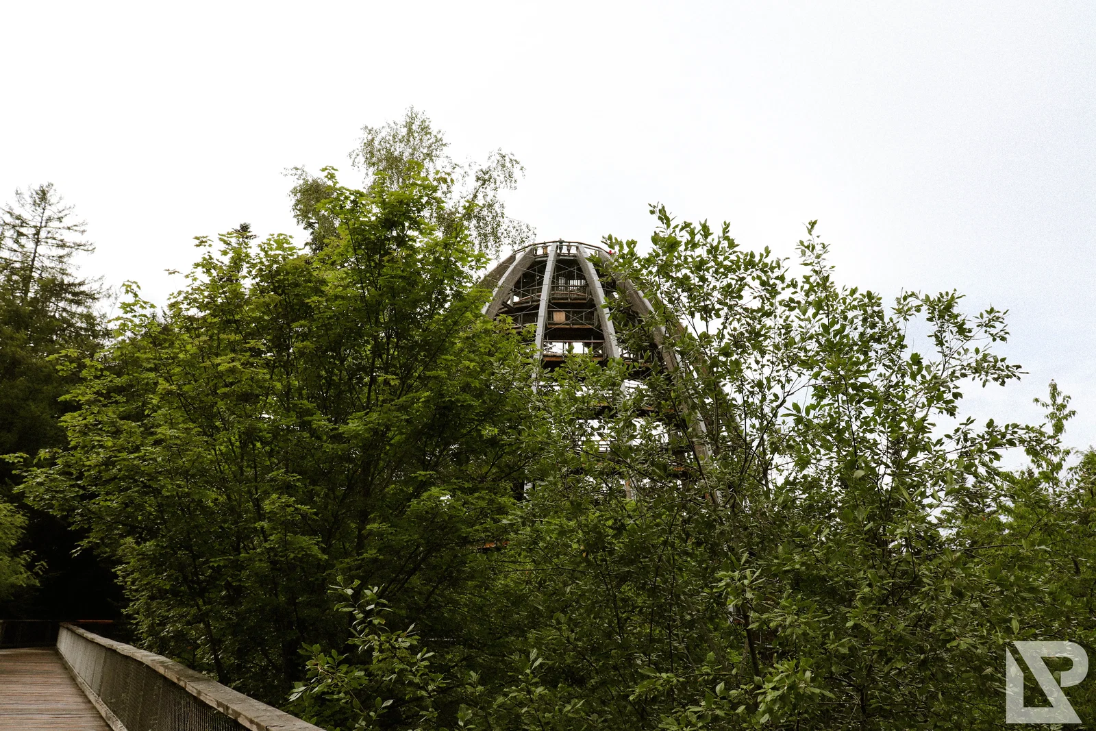 Waldwipfelweg Neuschönau – Foto 89