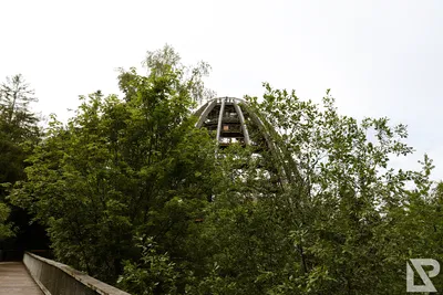 Waldwipfelweg Neuschönau — 89