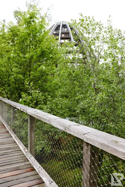Waldwipfelweg Neuschönau — 90