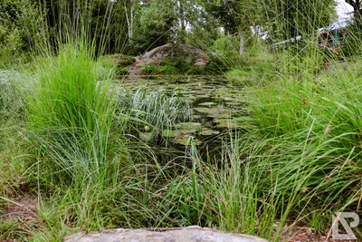 Waldwipfelweg Neuschönau — 92