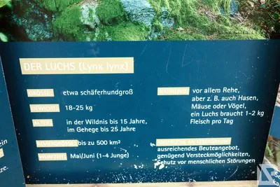Waldwipfelweg Neuschönau — 94