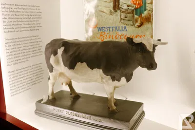 Waldwipfelweg Neuschönau — 97