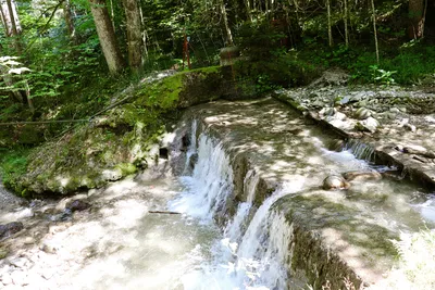 Nature