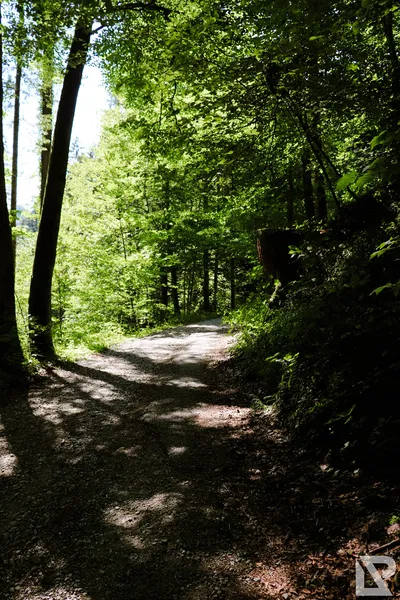 Wasserfall Niedersonthofen — 3