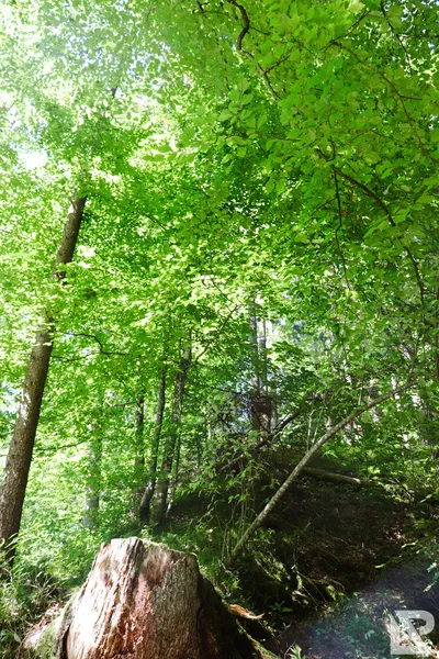 Wasserfall Niedersonthofen — 4