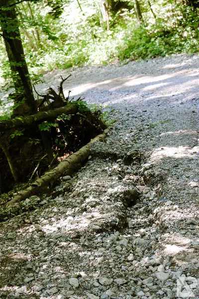 Wasserfall Niedersonthofen — 5