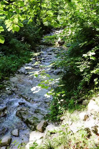 Wasserfall Niedersonthofen — 6