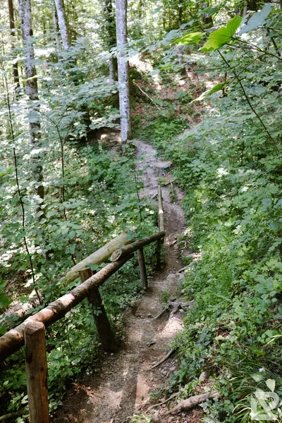 Wasserfall Niedersonthofen — 8