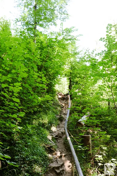 Wasserfall Niedersonthofen — 9