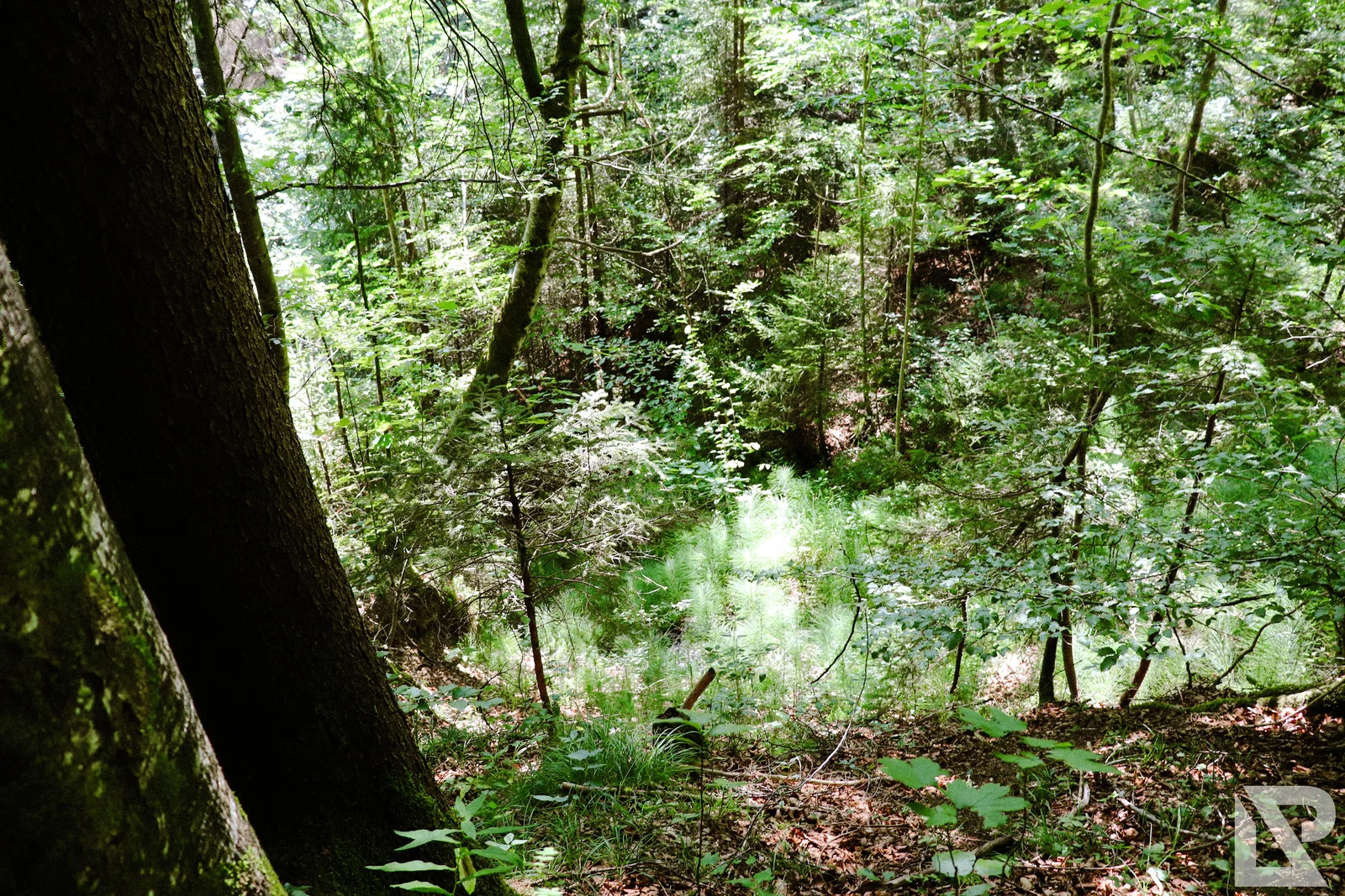 Wasserfall Niedersonthofen – Foto 11