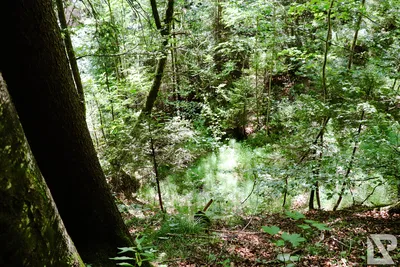 Wasserfall Niedersonthofen — 11