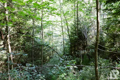 Wasserfall Niedersonthofen — 12