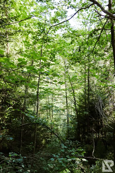 Wasserfall Niedersonthofen — 13