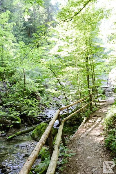 Wasserfall Niedersonthofen — 15