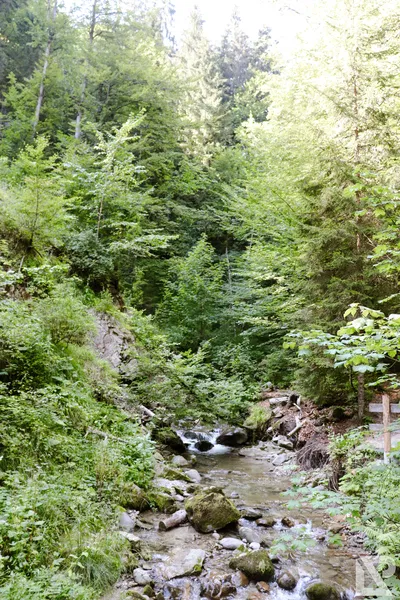 Wasserfall Niedersonthofen — 17