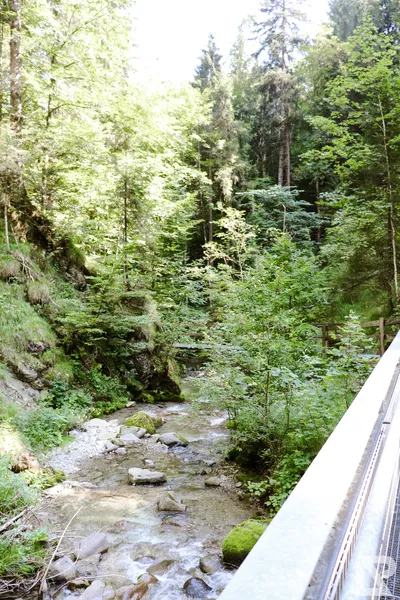 Wasserfall Niedersonthofen — 19