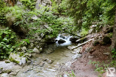 Wasserfall Niedersonthofen — 20