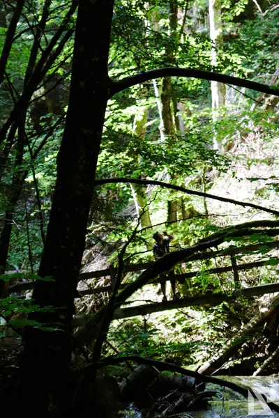 Wasserfall Niedersonthofen — 22
