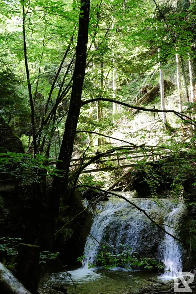Wasserfall Niedersonthofen — 23