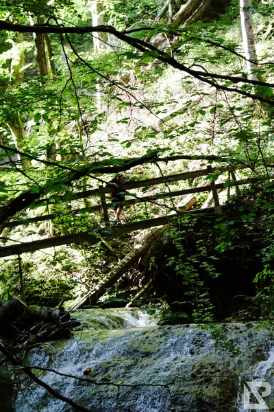 Wasserfall Niedersonthofen — 24