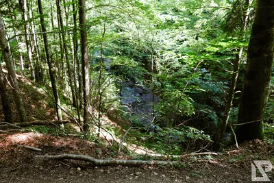 Wasserfall Niedersonthofen — 25