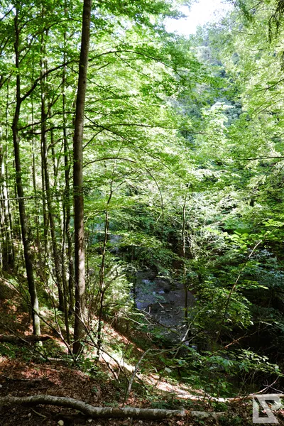 Wasserfall Niedersonthofen — 26