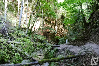 Wasserfall Niedersonthofen — 32
