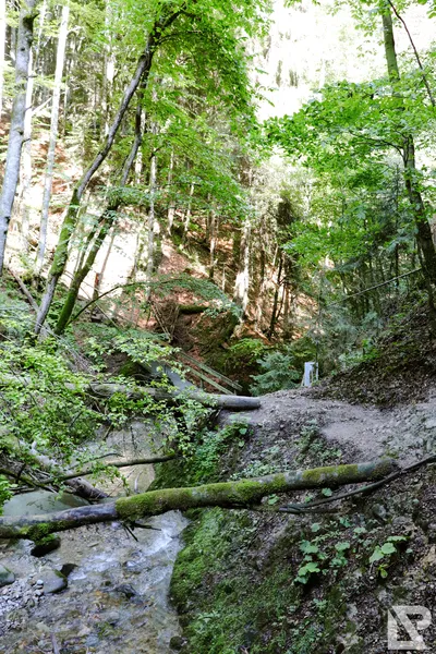 Wasserfall Niedersonthofen — 33