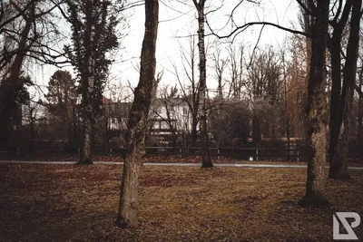 Stadtpark Erding