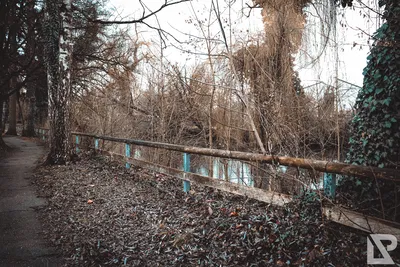 Stadtpark Erding — 3