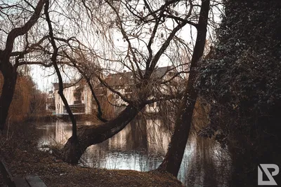 Stadtpark Erding — 7