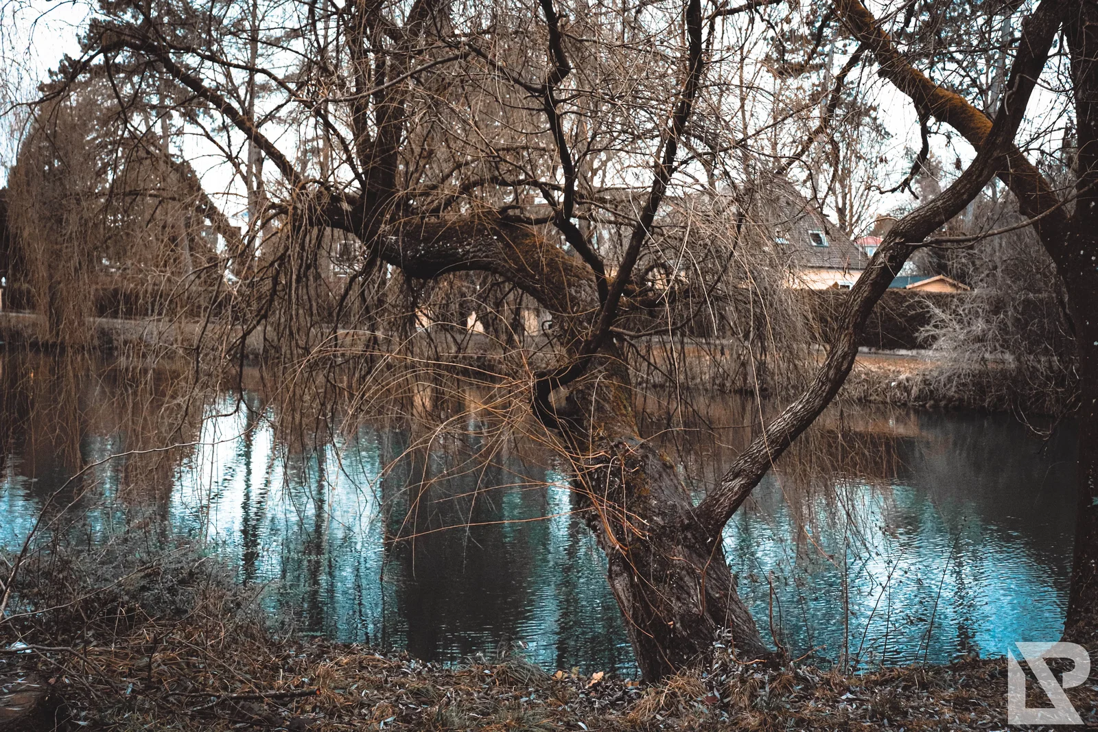 Stadtpark Erding – Foto 8