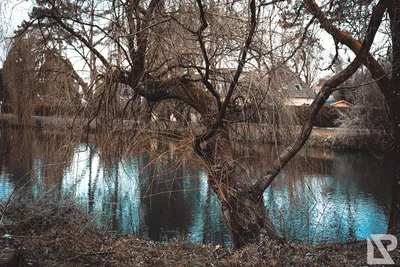 Stadtpark Erding — 8
