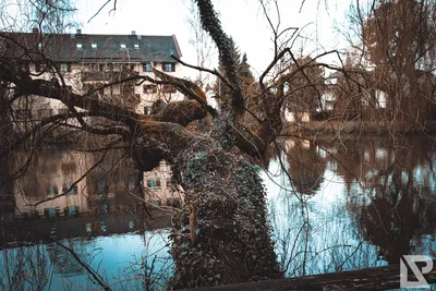 Stadtpark Erding — 9