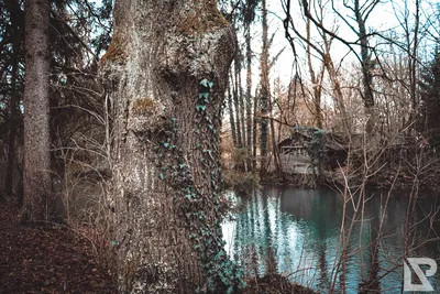 Stadtpark Erding — 10