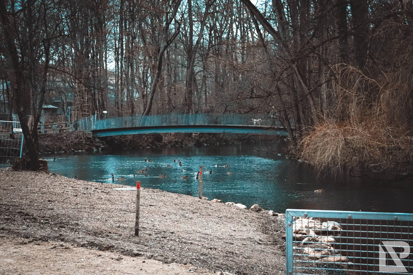 Stadtpark Erding – Foto 29
