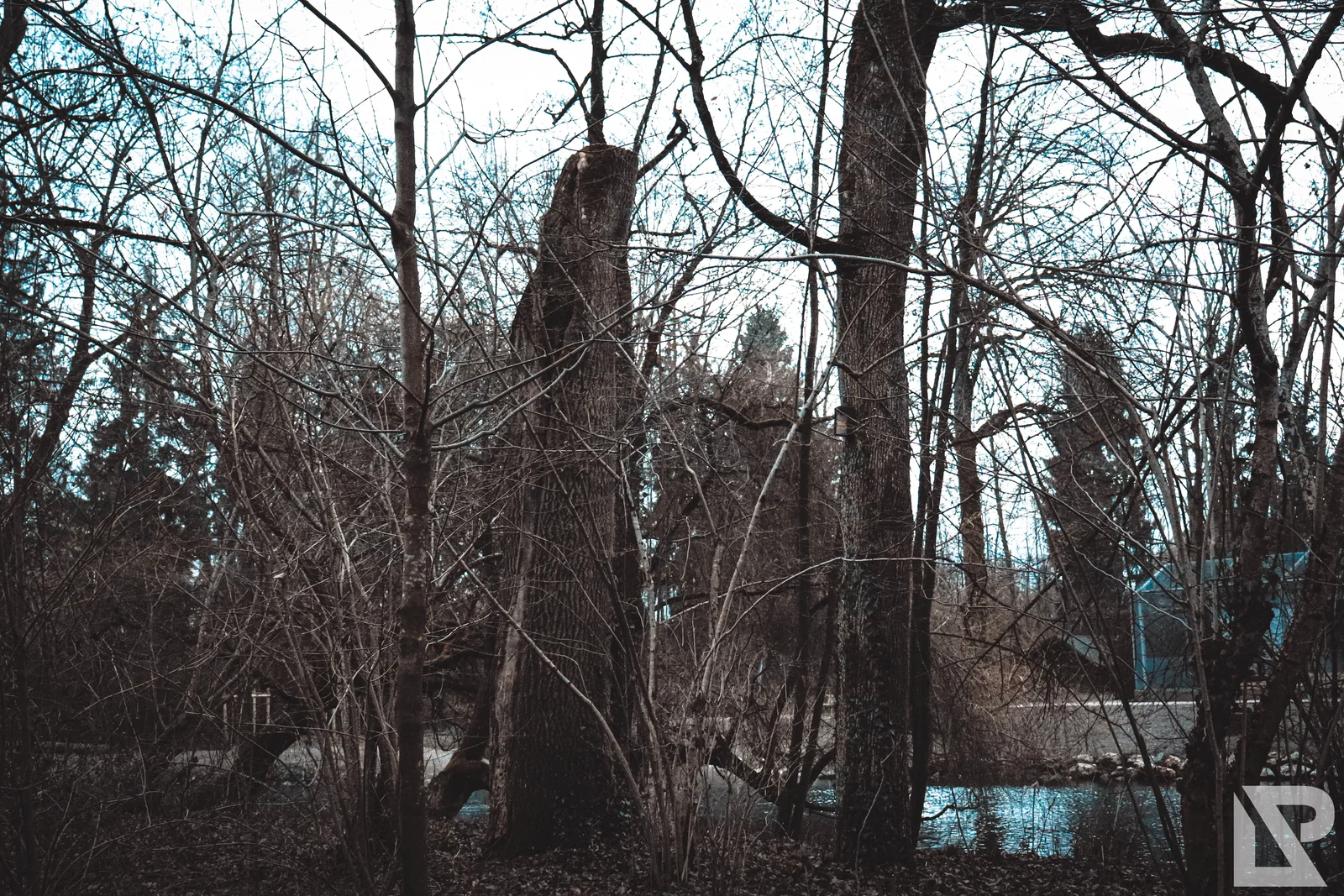 Stadtpark Erding – Foto 35
