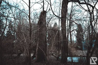 Stadtpark Erding — 35