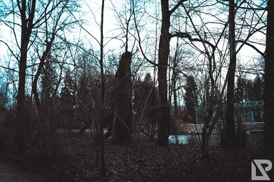 Stadtpark Erding — 36