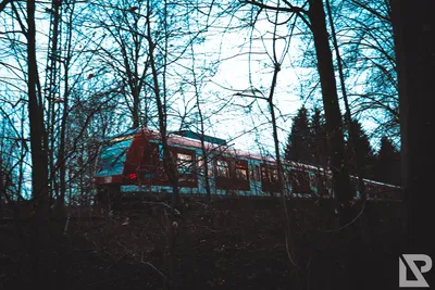 Stadtpark Erding — 51