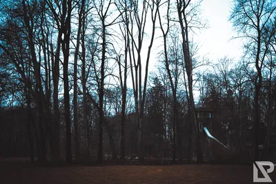 Stadtpark Erding — 53