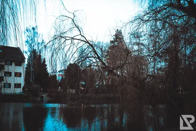 Stadtpark Erding — 59